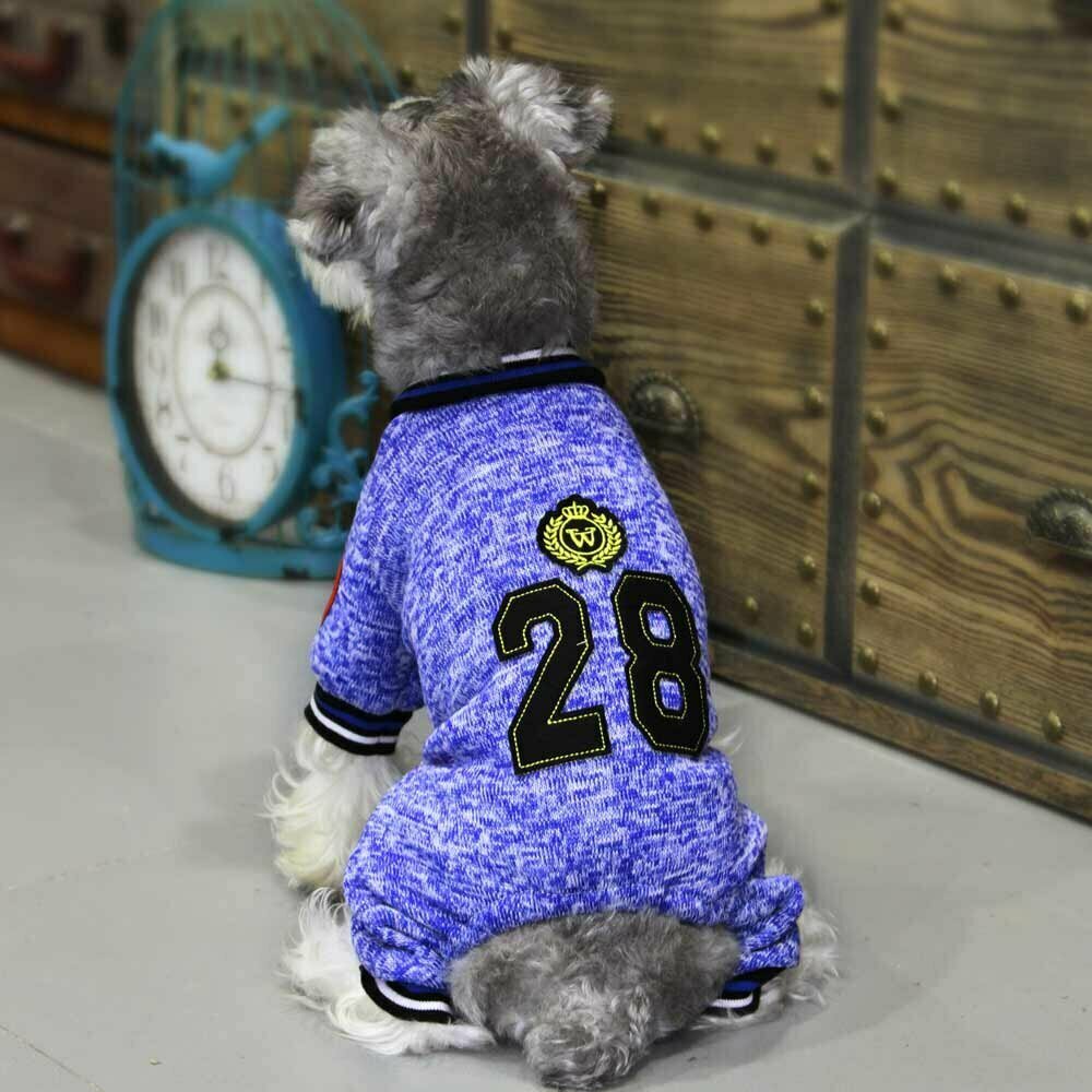 GogiPet športni komplet za psa "28" - modra barva, prožna obroba na rokavih in hlačnicah