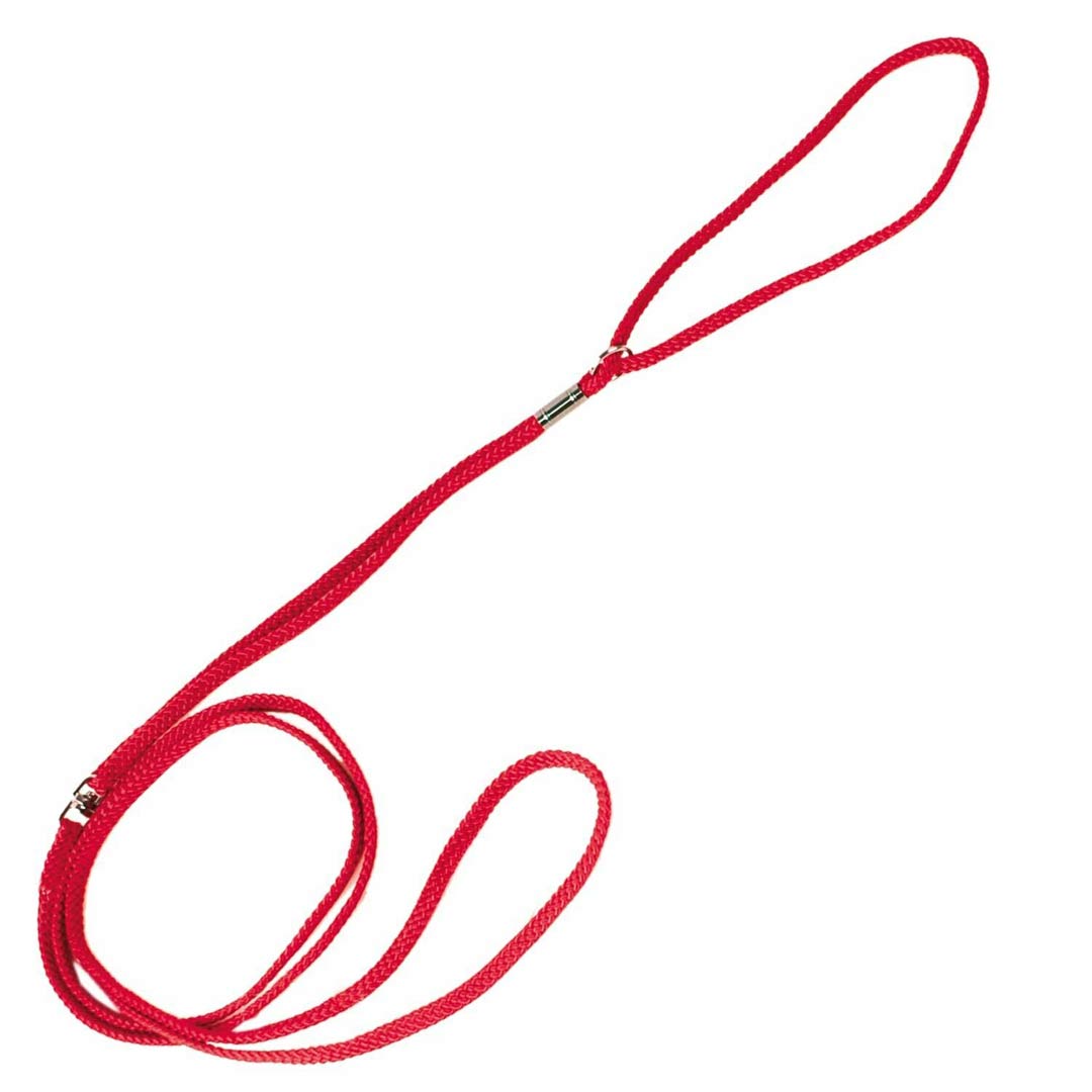 Razstavna vrvica za pse - rdeča barva