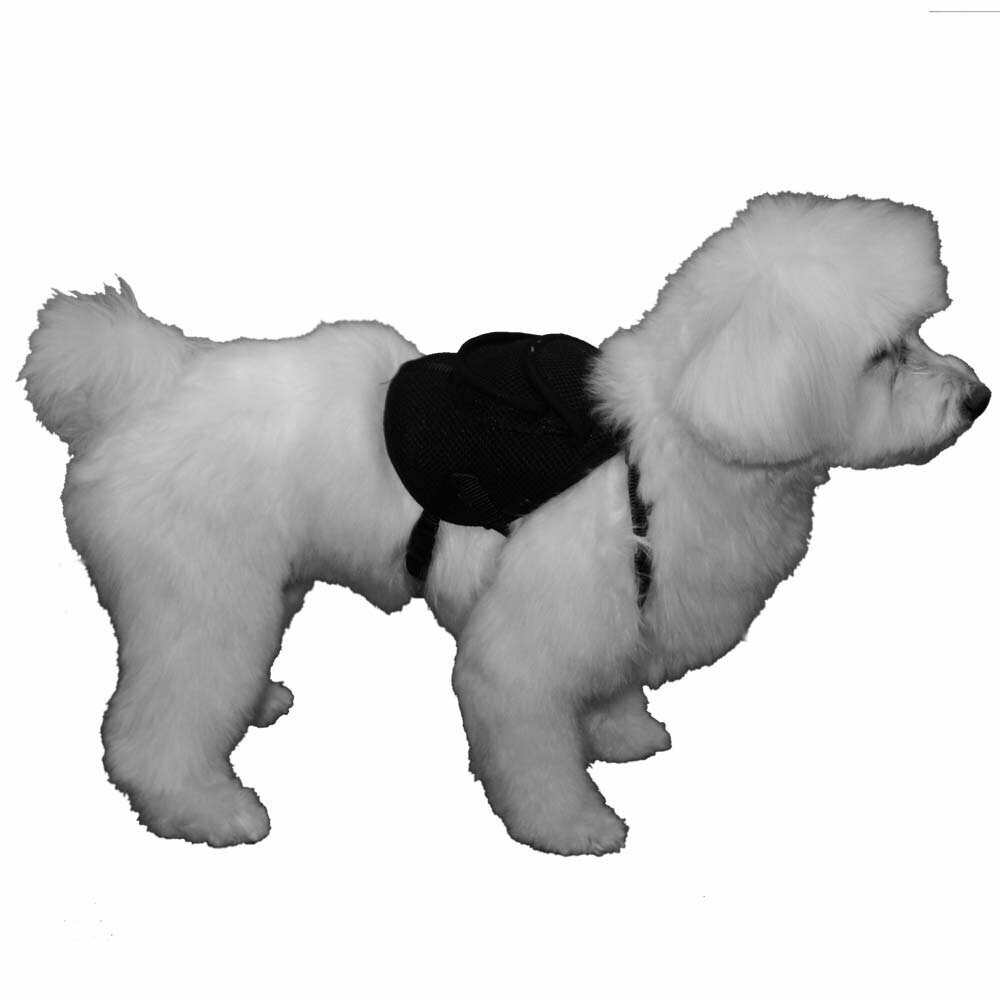 GogiPet črna oprsnica z nahrbtnikom za psa - hitri sistem oblačenja