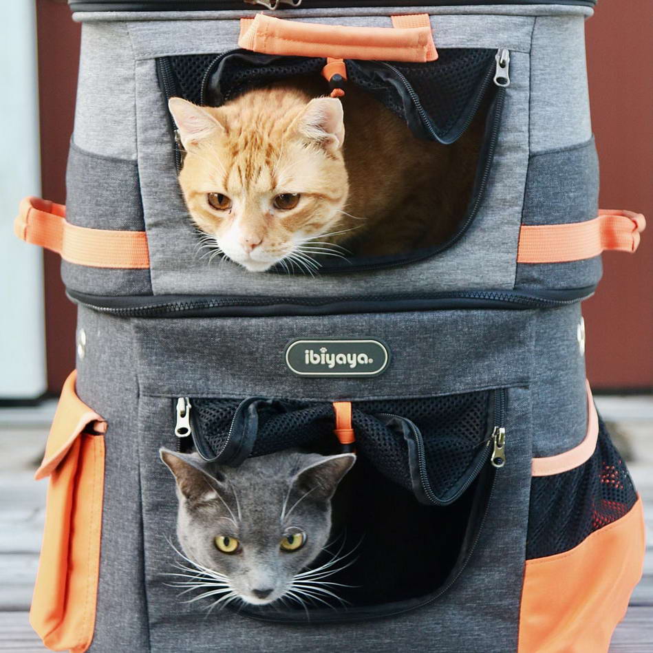 Velik nahrbtnik za dve mački