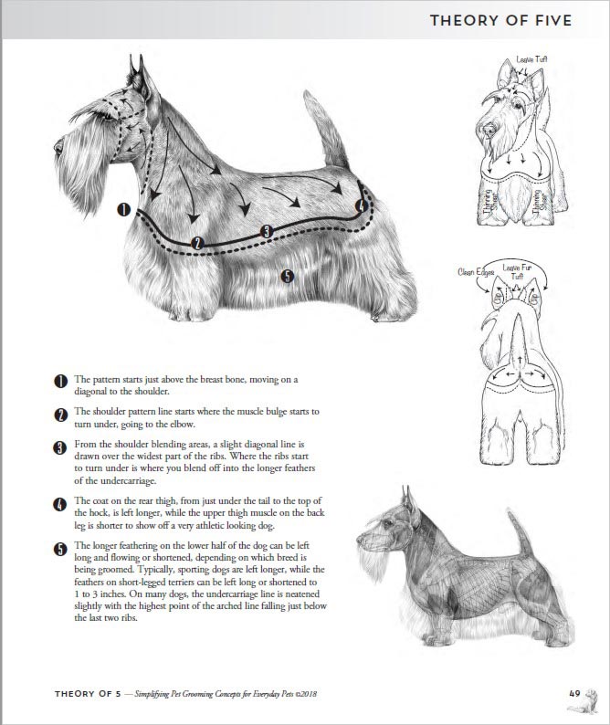 Knjiga o negi in striženju psov Theory of 5 - nazorne skice, ki so razumljive tudi brez znanja angleškega jezika