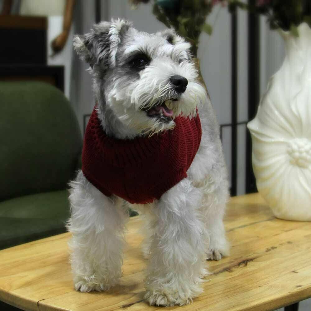 Pleten pulover za psa "Rachel" - bordo rdeča barva, udobno nošenje