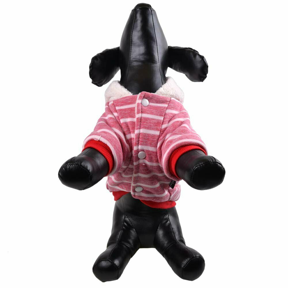 Črtasta jakna za psa "Pablo" - rdeča barva, zapenjanje s plastičnimi pritiskači