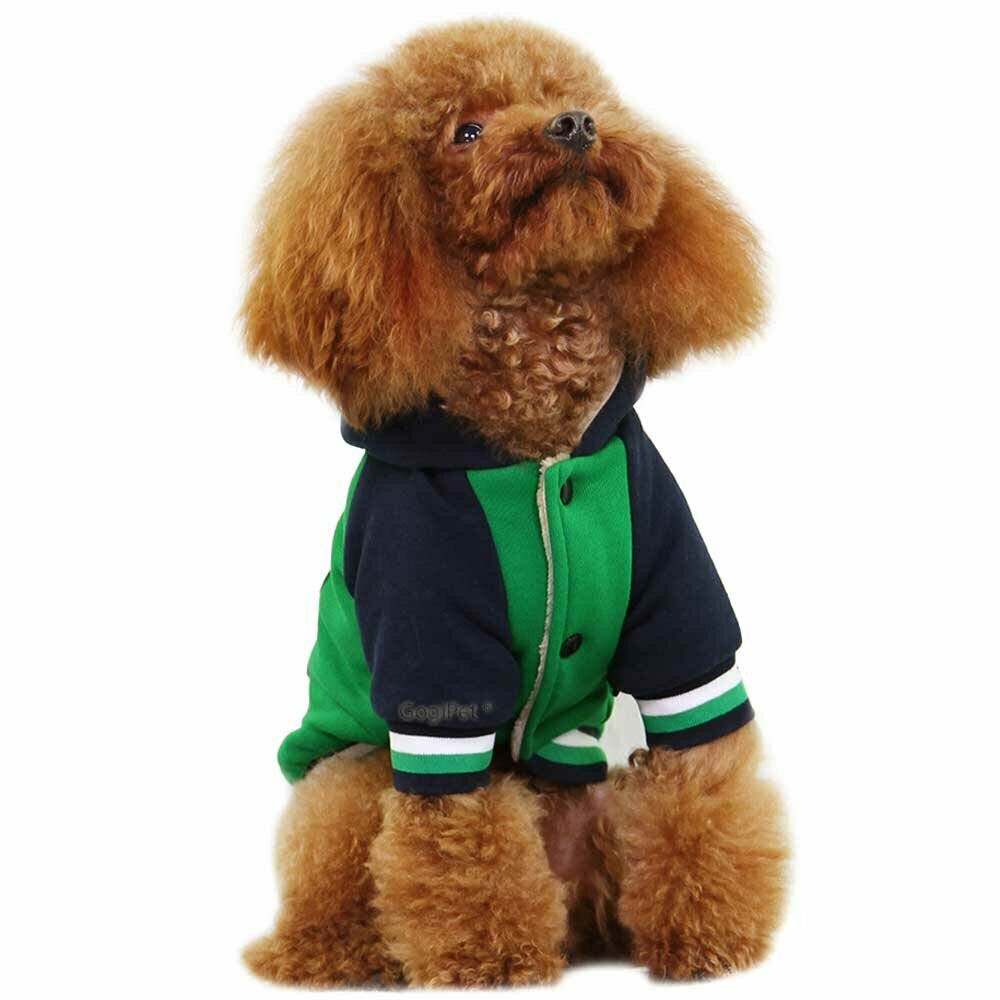 Zimska jakna za psa "89" - zelena barva