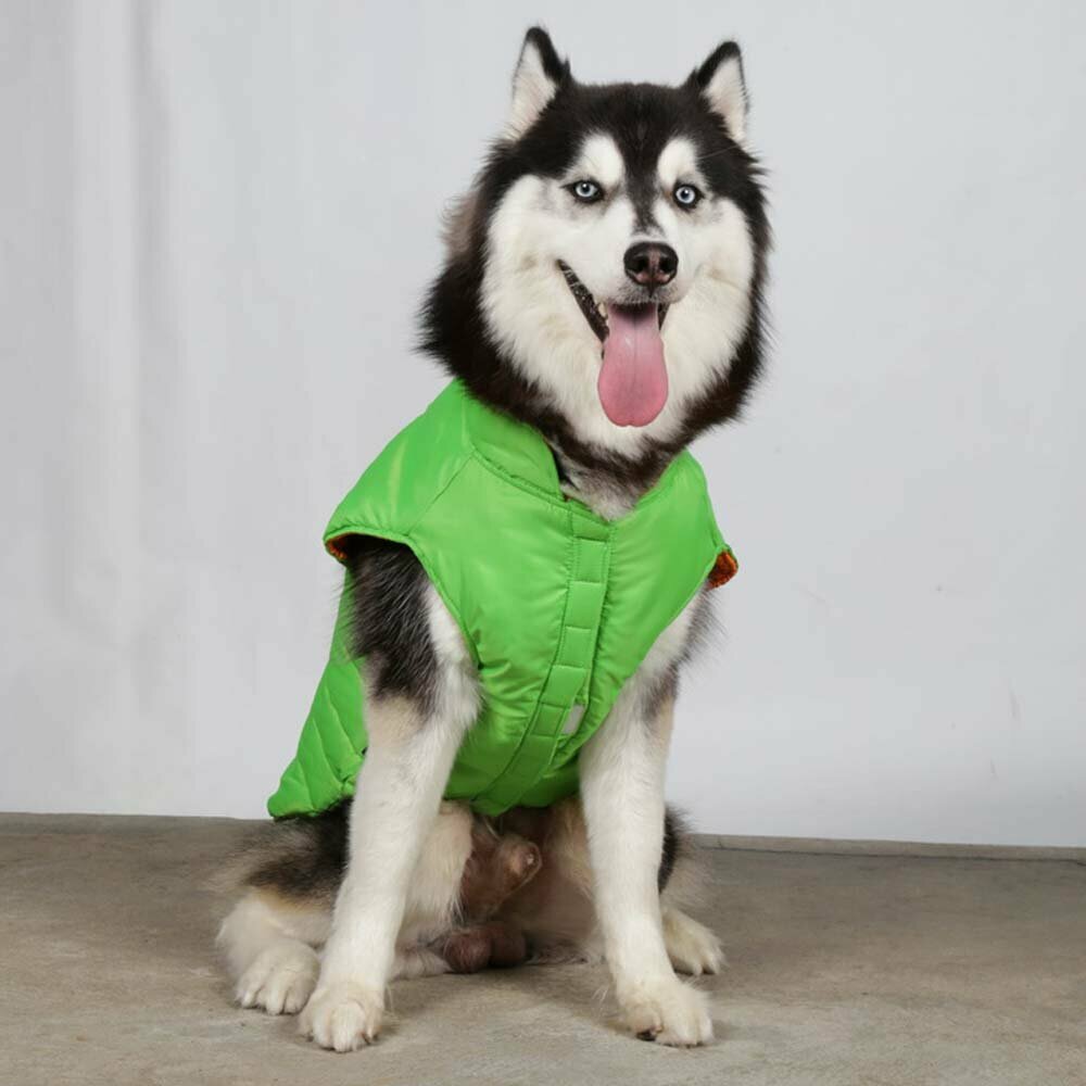 Tople jakne za pse velike rasti - sv. zelena DoggyDolly