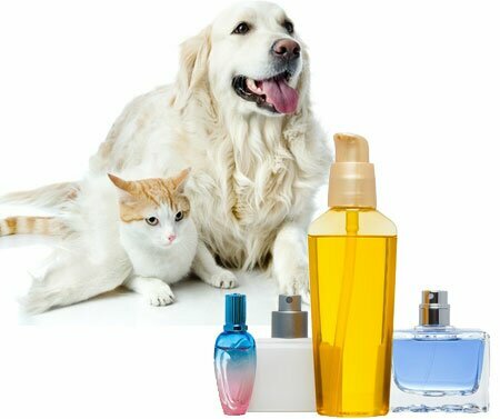 Parfumi za pse in mačke