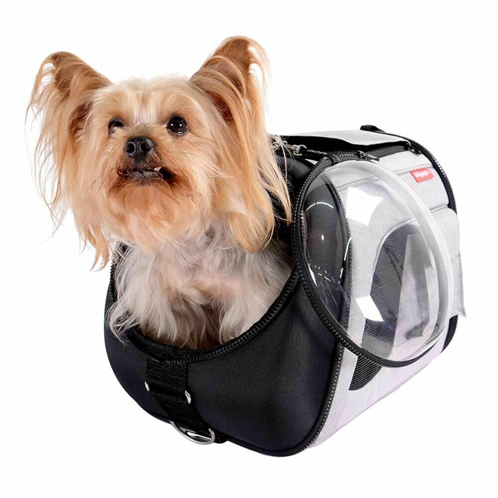 Torba za pse na potovanju z letali - udobna in praktična