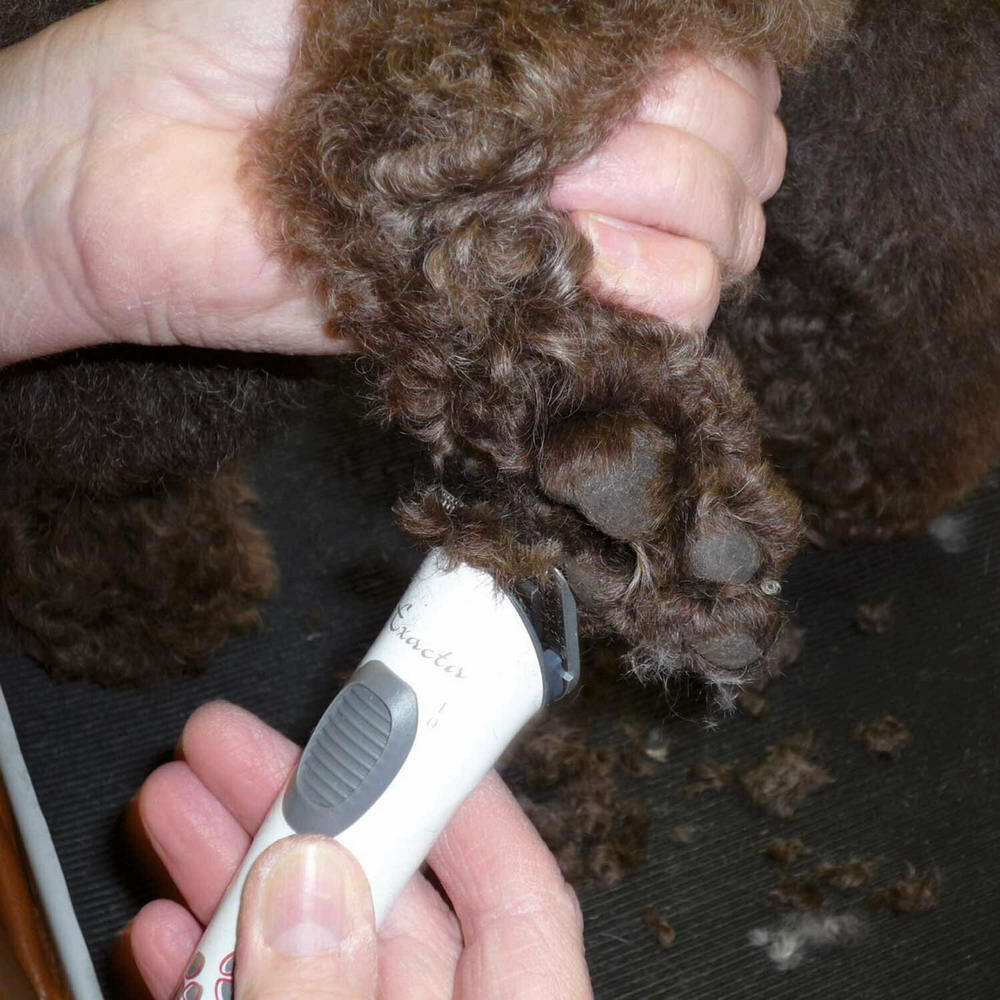 Britje dlake med blazinicami - majhen strojček za striženje psov Aesculap Exacta