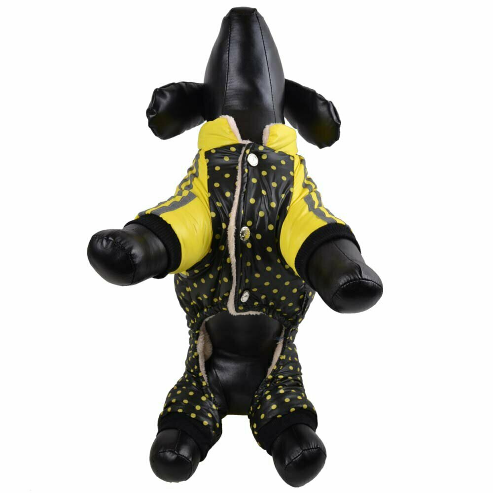 Zimski kombinezon za psa s pikami - rumena barva, obroba na rokavih