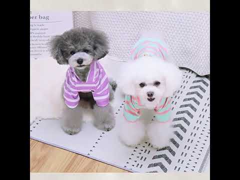Črtast pulover za psa "Teddybär" - pink barva