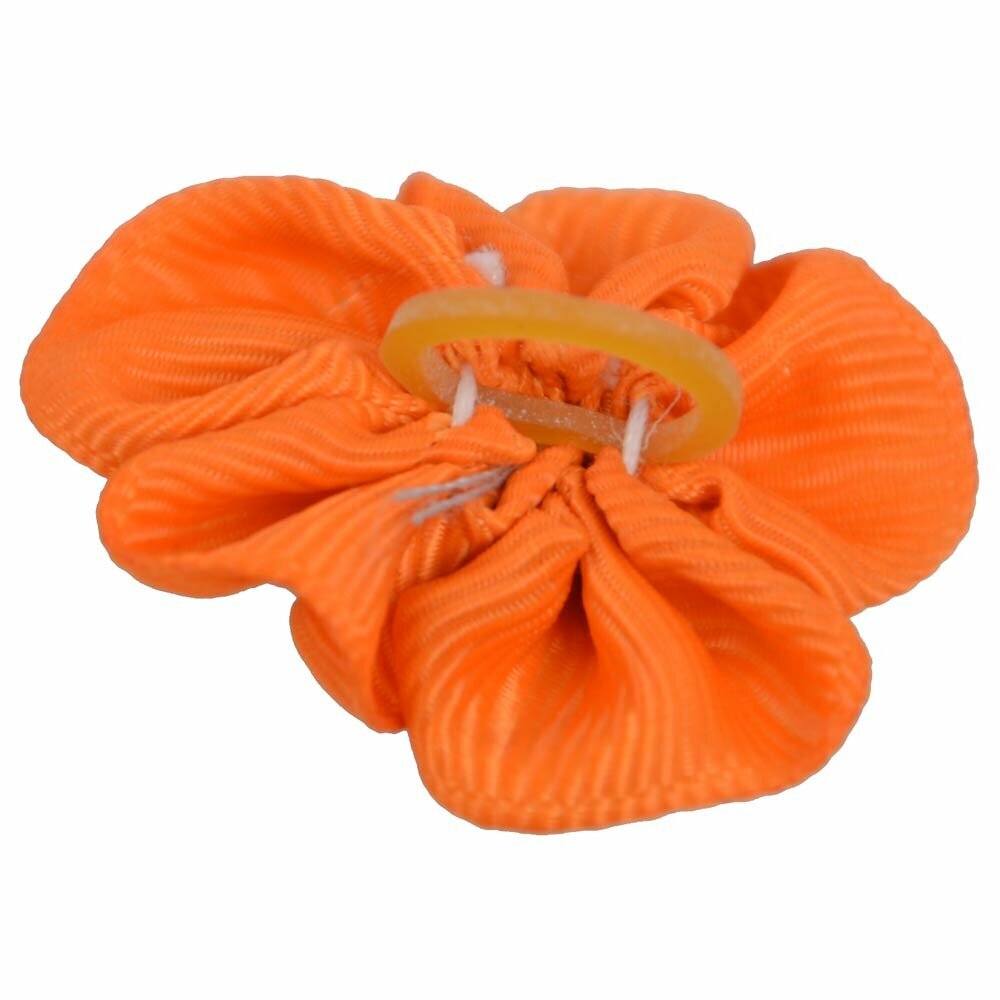 Oranžna mašnica z gumico -  GogiPet