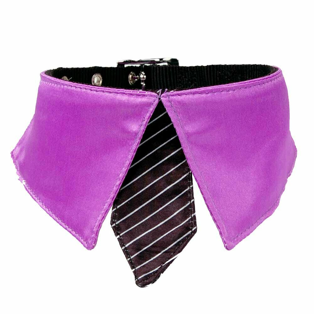 Ovratnice s kravato violet - black M