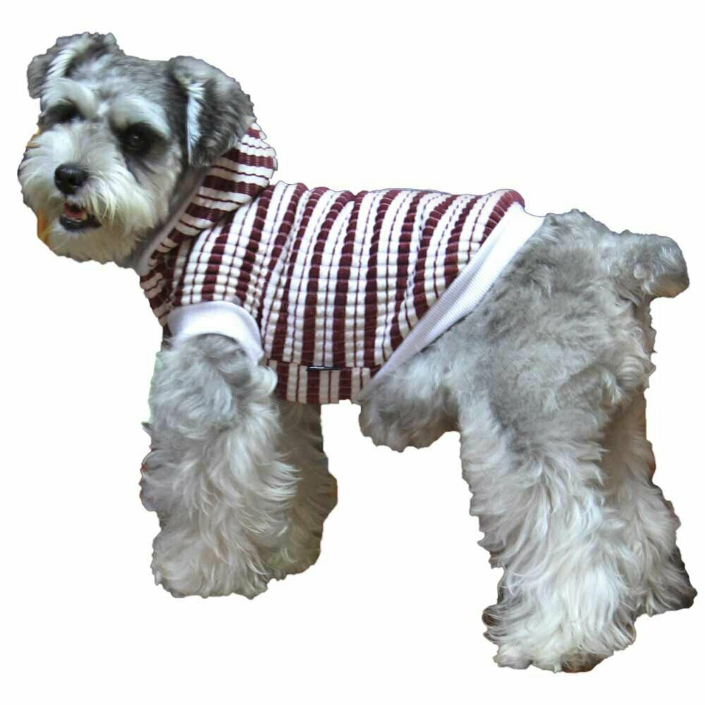GogiPet črtast pulover za psa "Gala" - rdeča barva