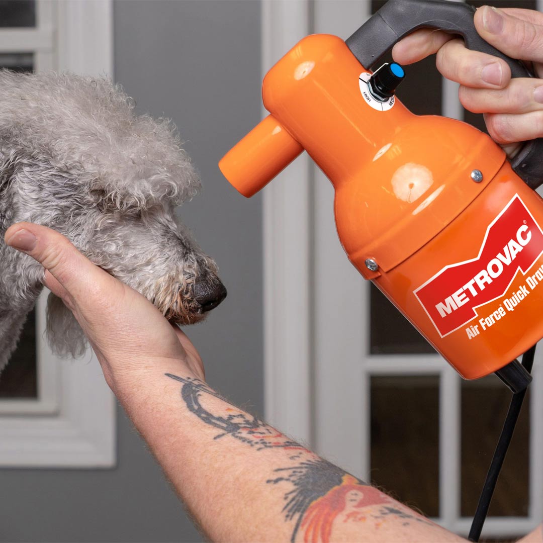 Nastavljiv izpih zraka za sušenje občutljivih predelov - Metro Air ForceQuick Draw sušilnik za pse