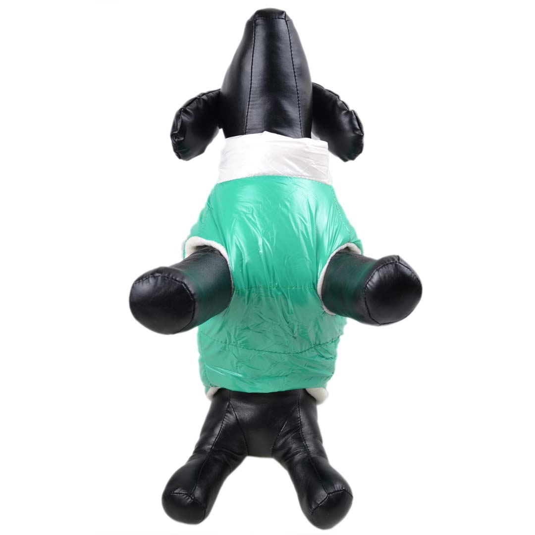 Udoben, zimski anorak za pse - zelena barva