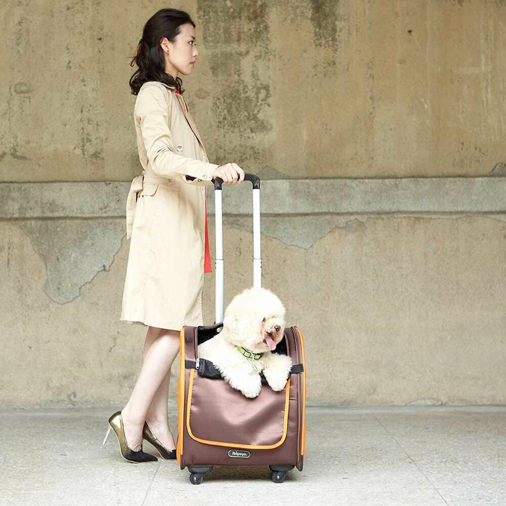 Modern nahrbtnik in kovček s kolesi za pse "Delux Brown" - rjava barva