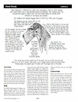 Knjižica o negi in striženju psov - angleščina - Notes Pocket Pal