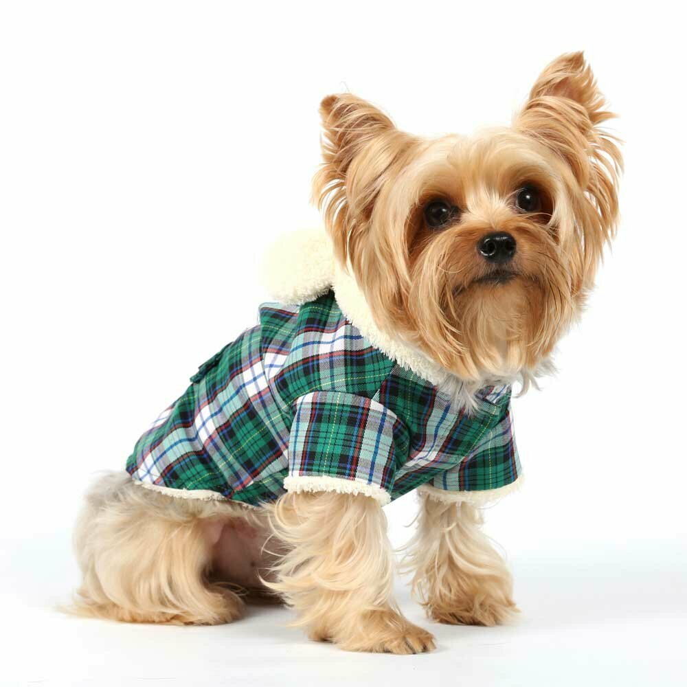 Karo zimska jakna - oblačila za pse