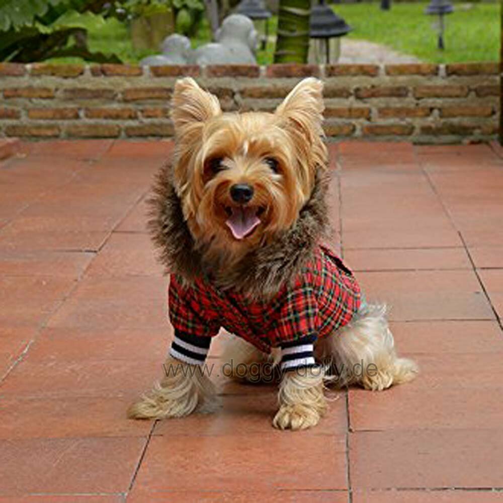 Karo jakna za pse - rdeča barva - DoggyDolly W128