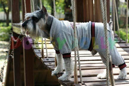 Športni komplet "Fitnes Club"  - športno oblačilo za pse - siva barva