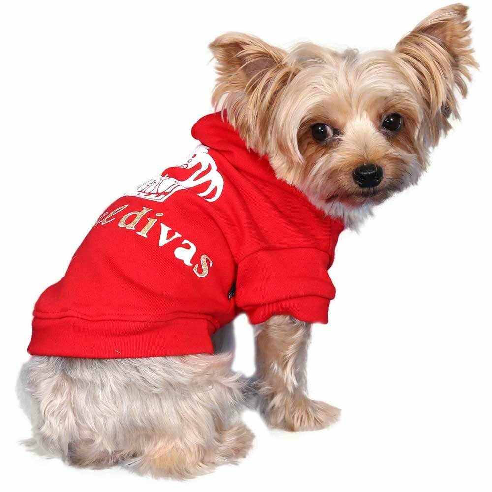 Majica za pse Royal - Red DoggyDolly W031