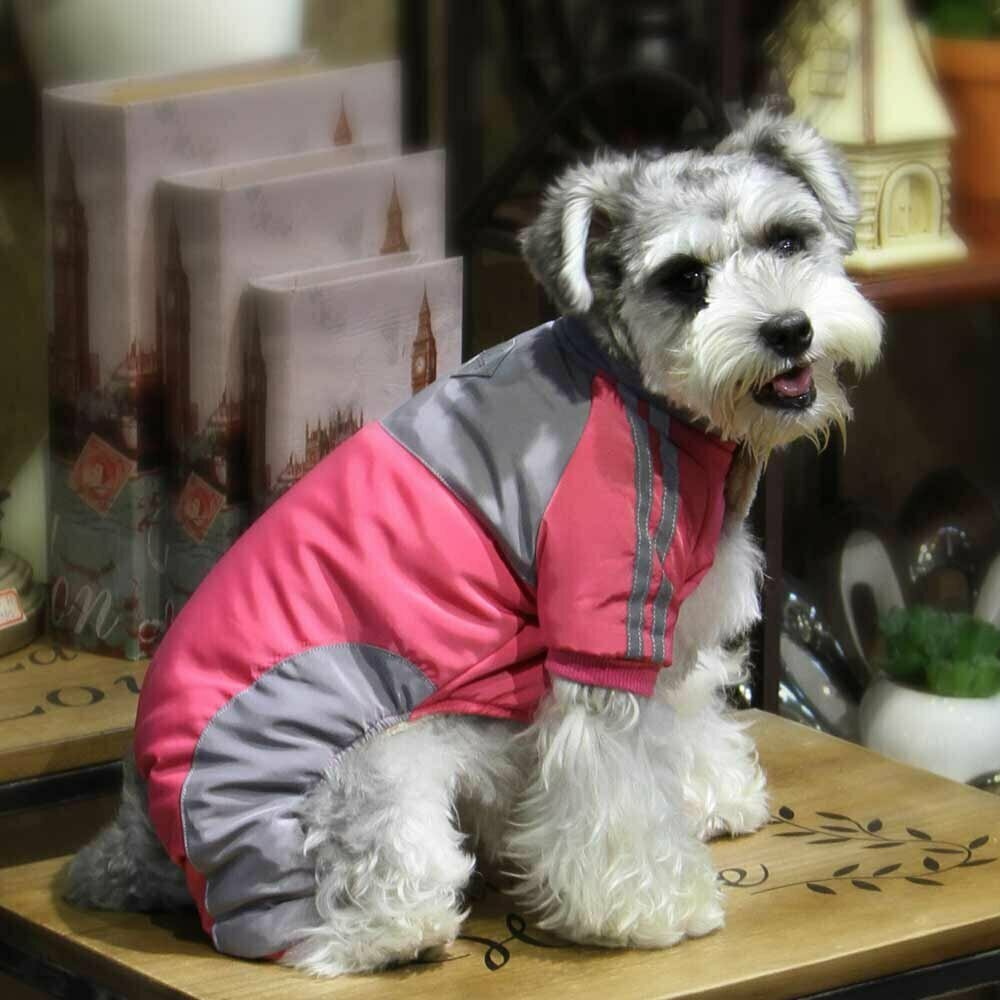 Zimski kombinezon za pse "Karin" - rožnata barva, udobno nošenje