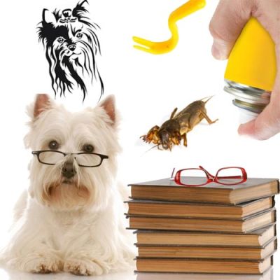 Knjige in pripomočki za nego psov